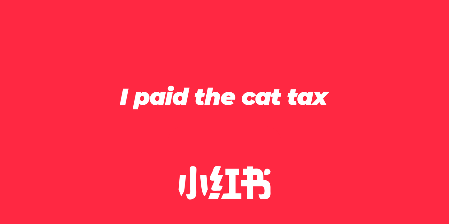 Cat Tax - Red Note App 小红书 Mousepad - Mousepad Warehouse
