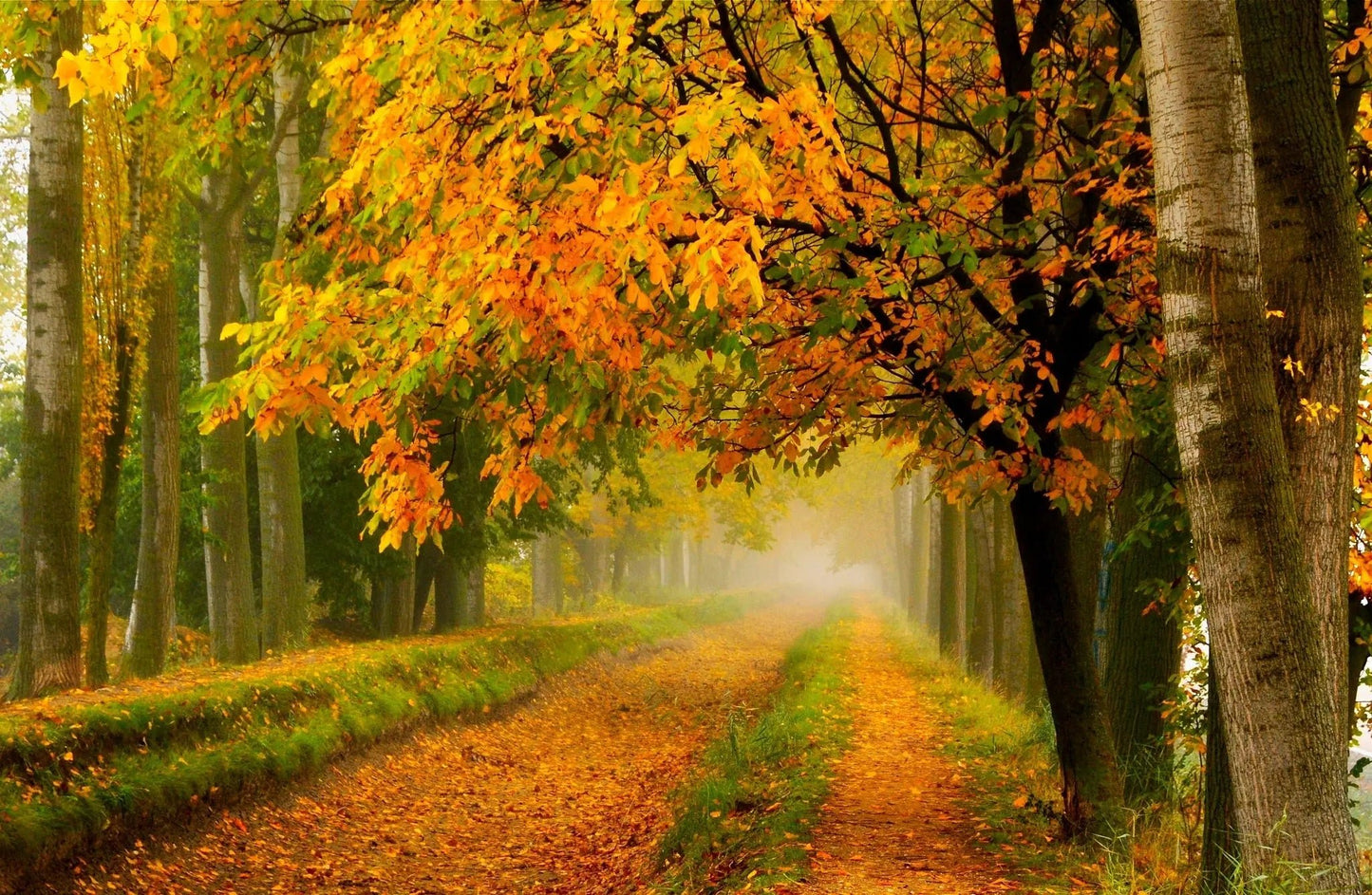 Nature Imagery Mousepad 38949 - Mousepad Warehouse