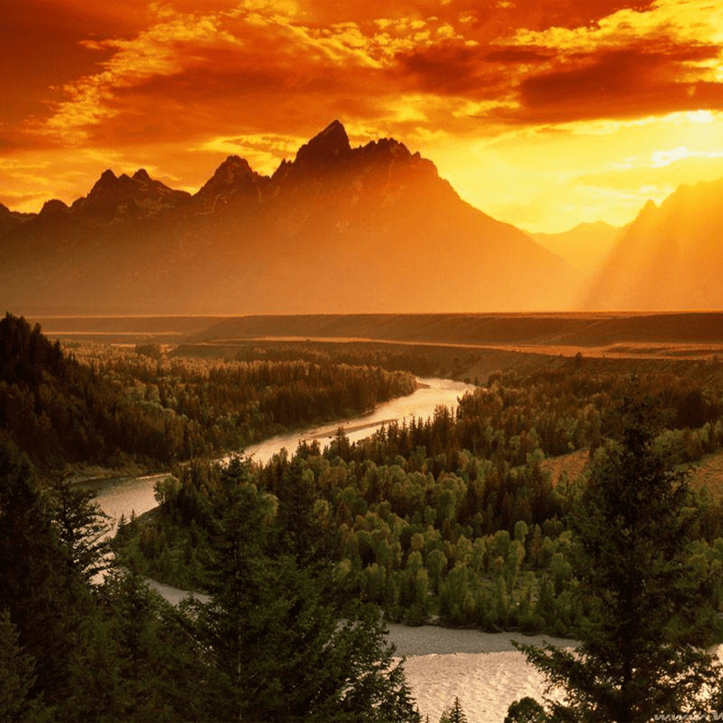 Yellowstone Mousepad 788554 - Mousepad Warehouse