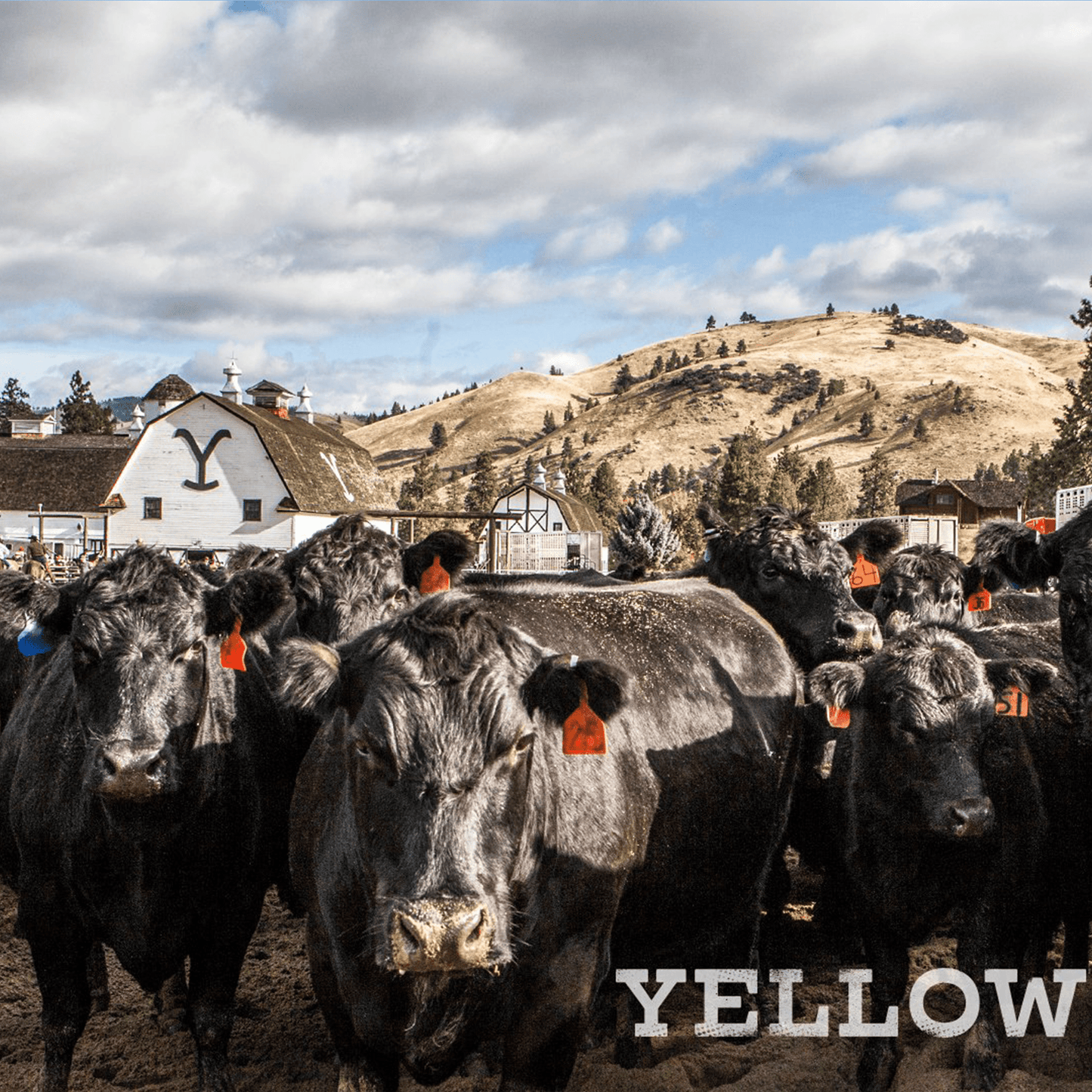 Yellowstone Mousepad 788559 - Mousepad Warehouse