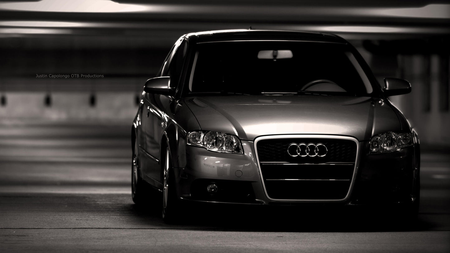 Audi V19