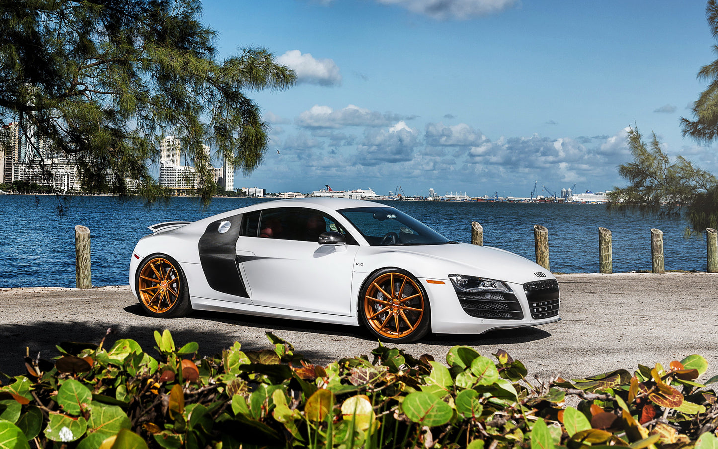 Audi V20