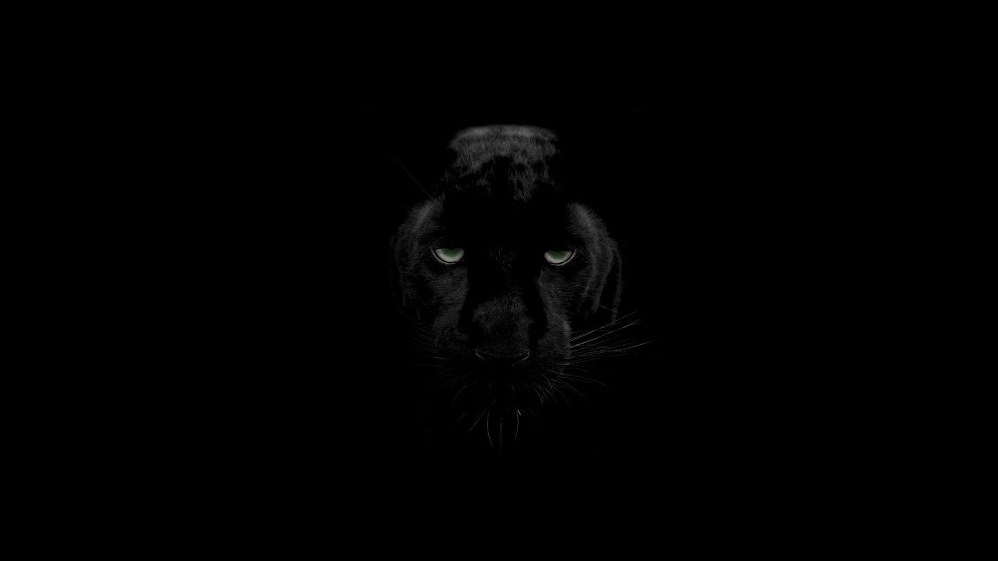 Black Panther V9 Mousepad