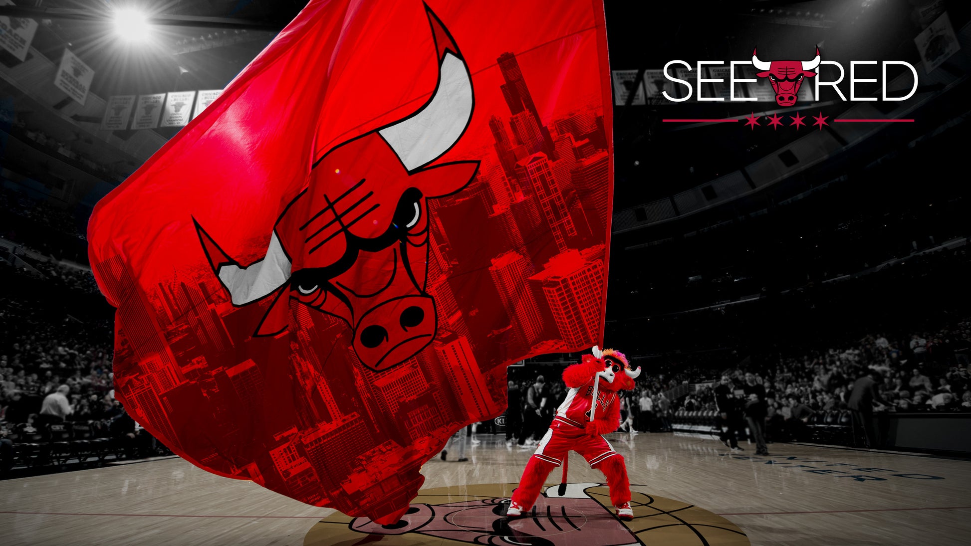 Chicago Bulls V14 Mousepad
