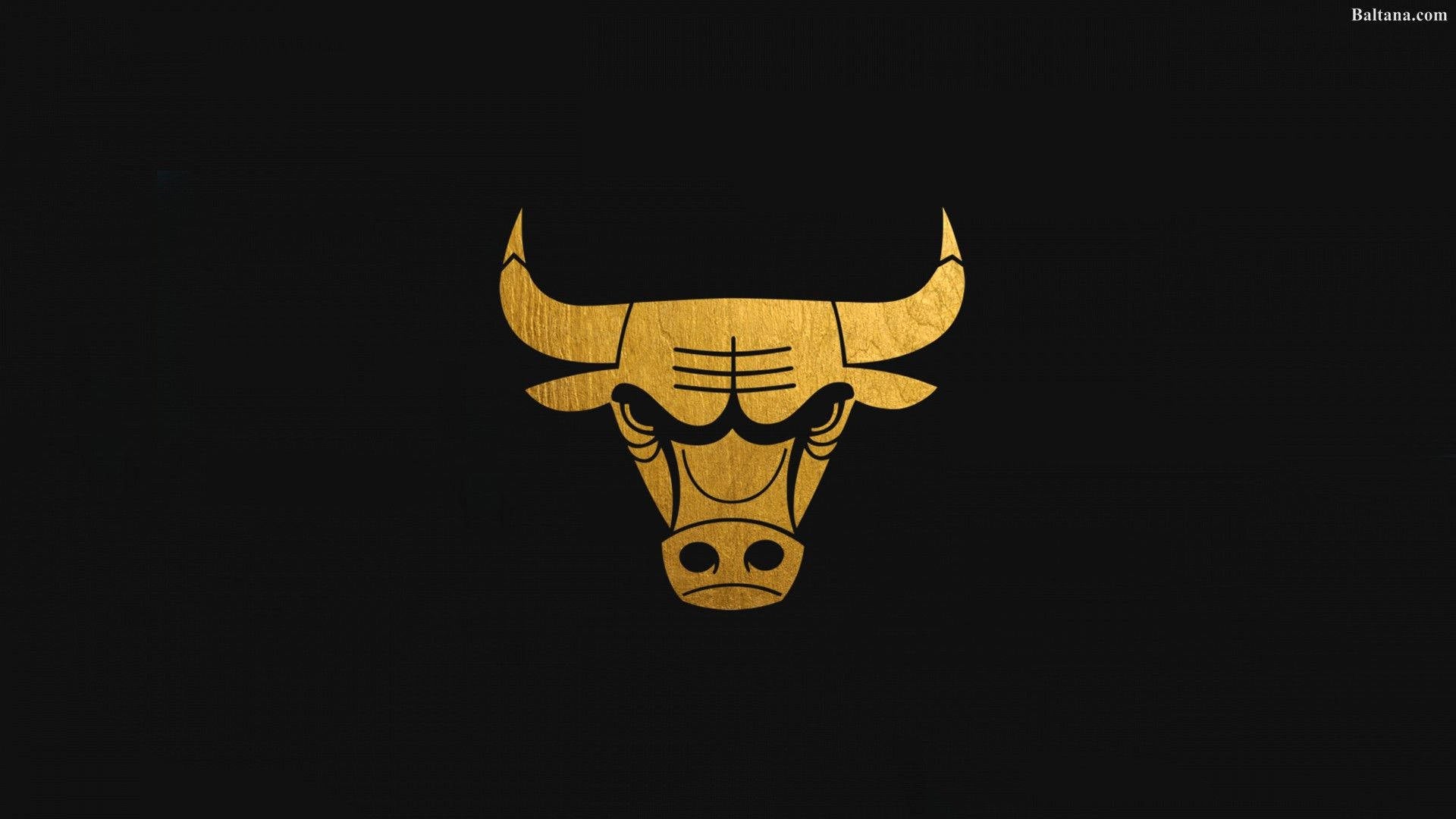 Chicago Bulls V18 Mousepad
