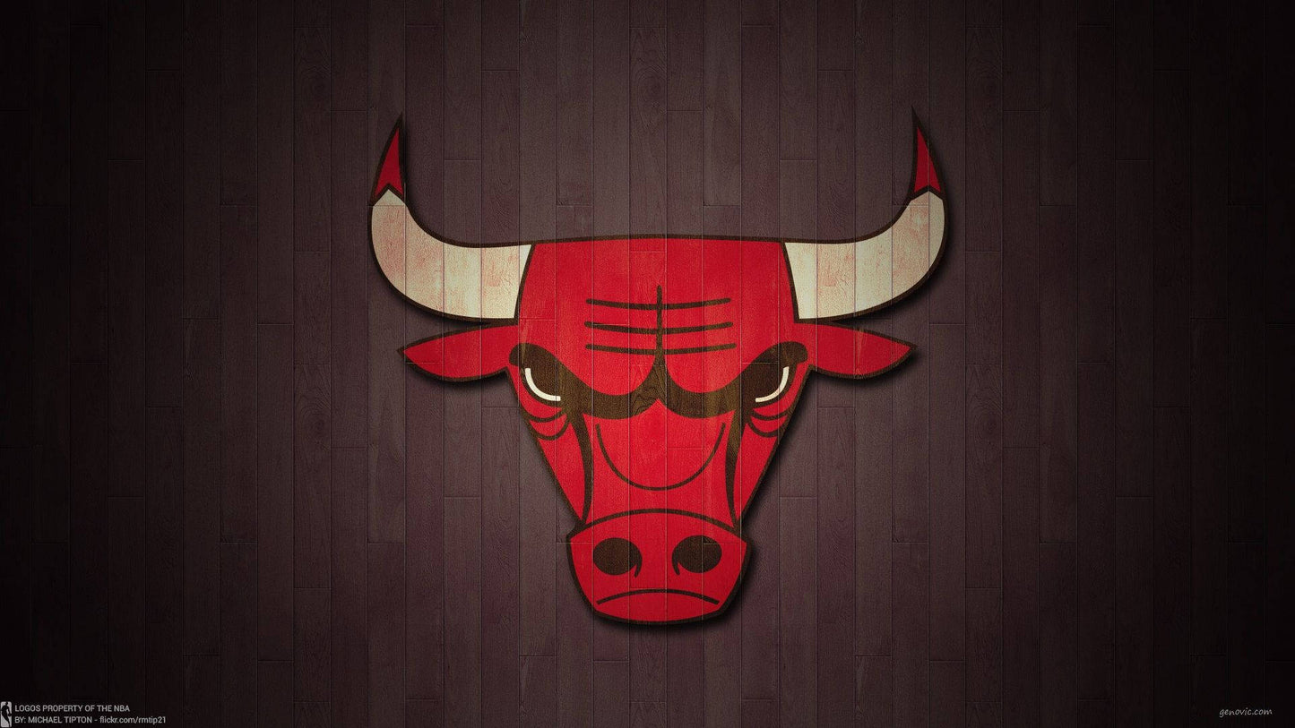 Chicago Bulls V19 Mousepad