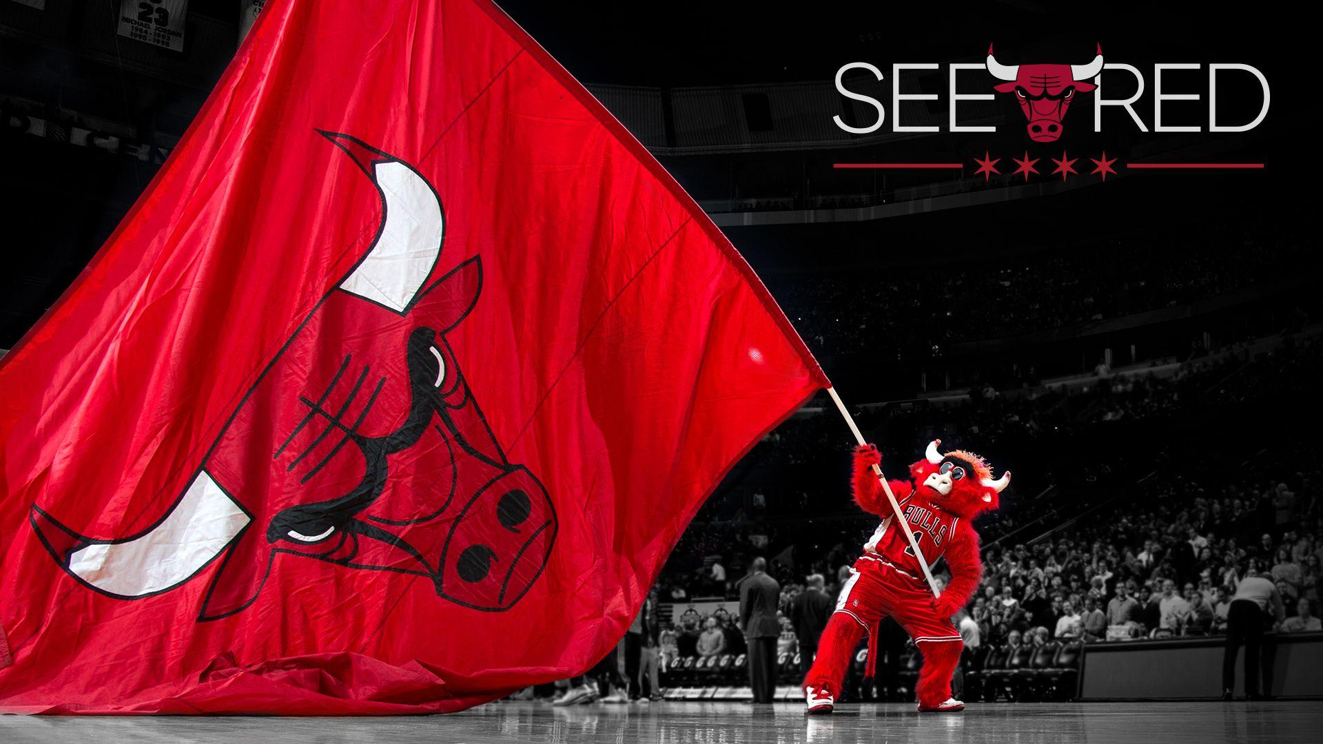 Chicago Bulls V28 Mousepad
