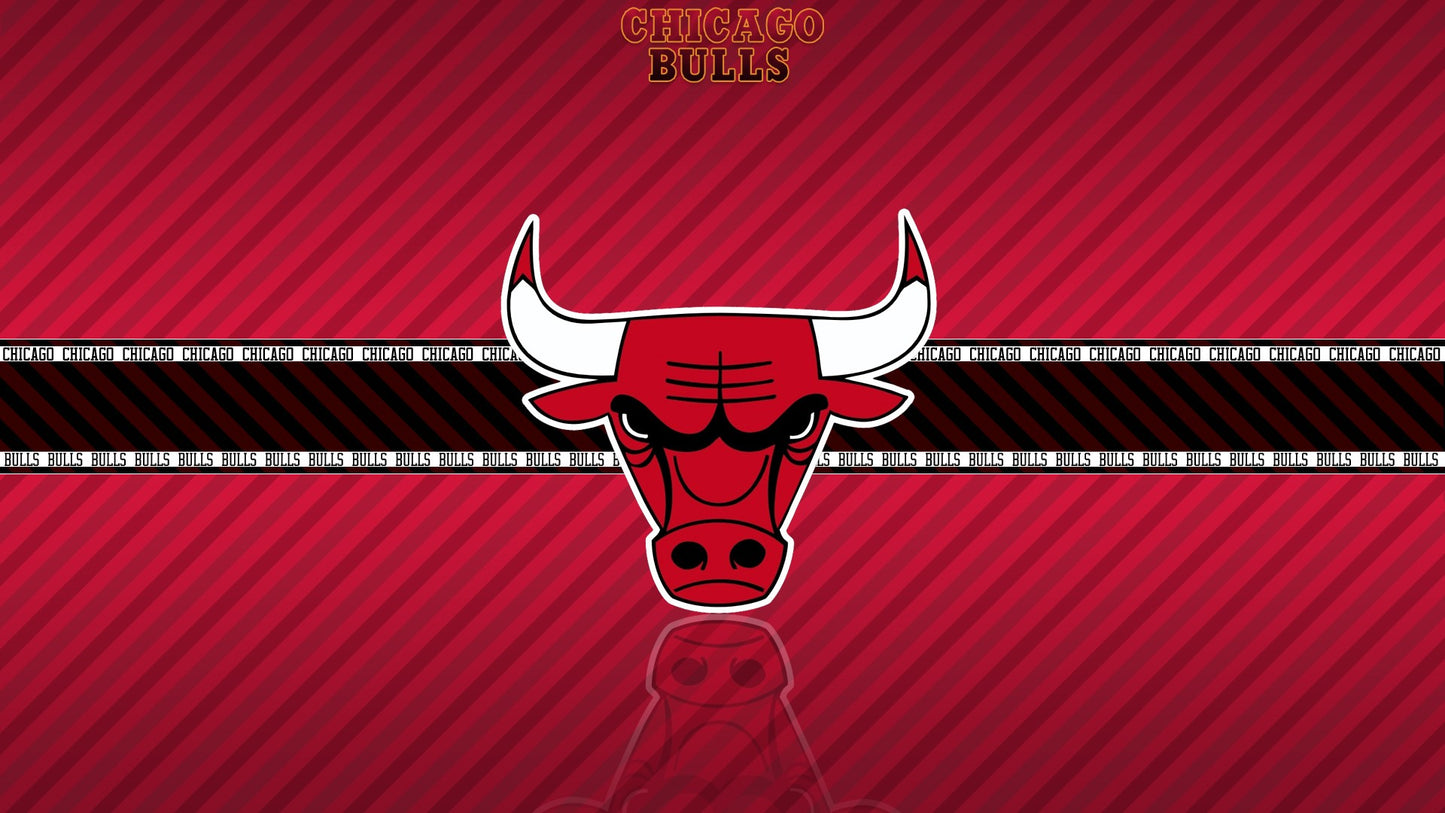 Chicago Bulls V4 Mousepad
