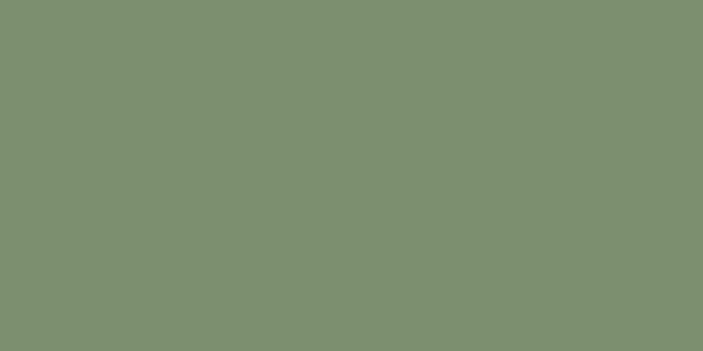 Desert Sunset Cactus Green
