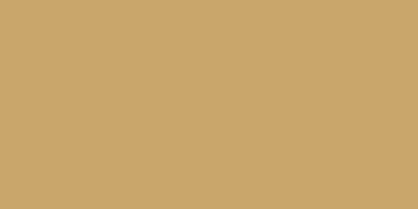 Earthy Boho Camel