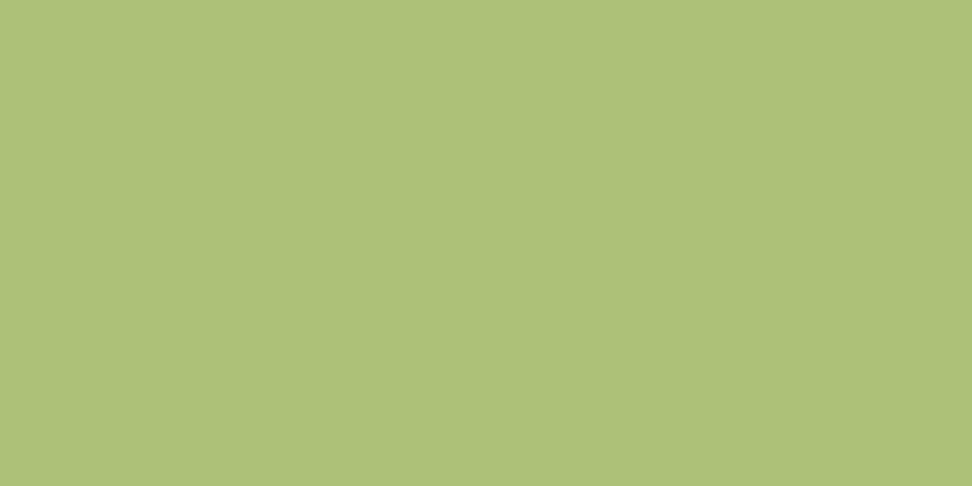 Earthy Boho Olive Sage