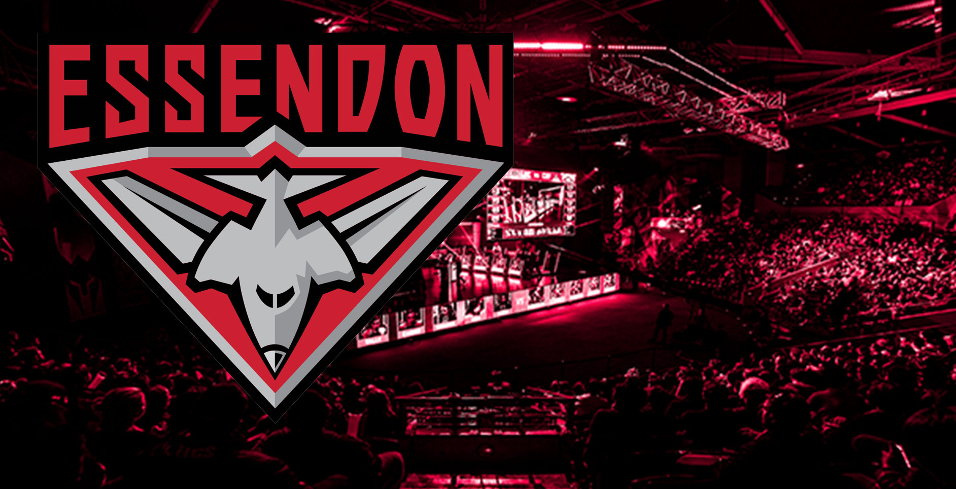 Essendon Bombers V4 Mousepad Deskmat