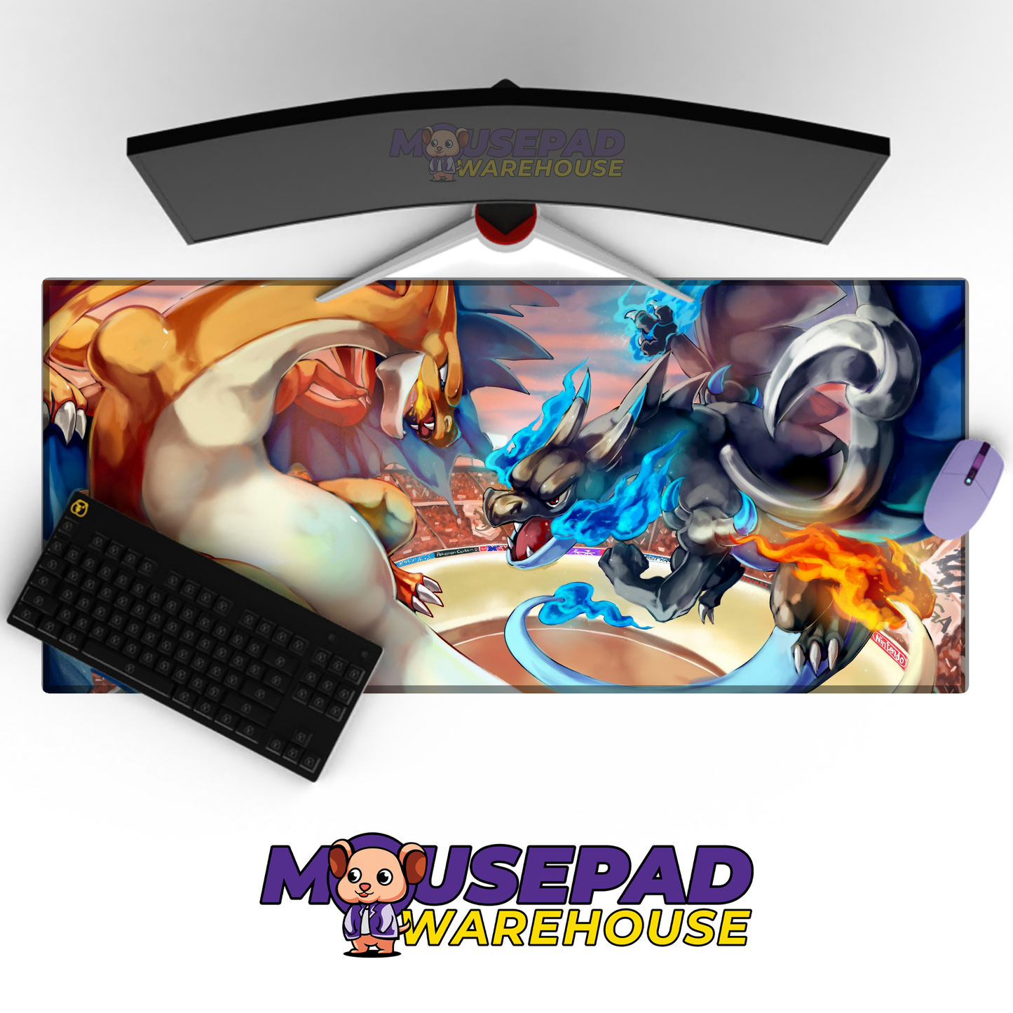 Mega Charizard Y vs Mega Charizard X Mockup