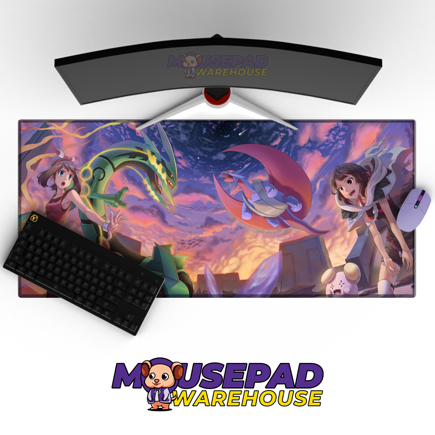 Mega Rayquaza vs Mega Salamence Mockup