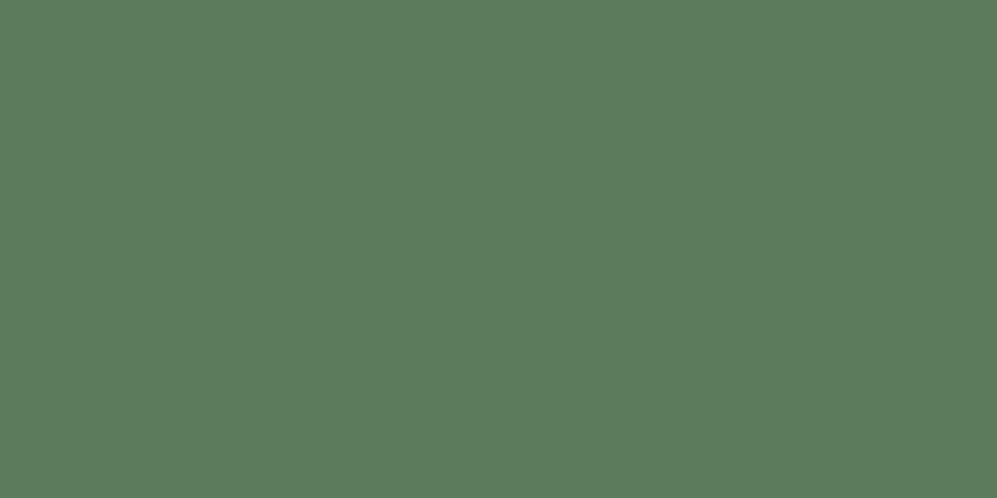 Moody Forest Fern