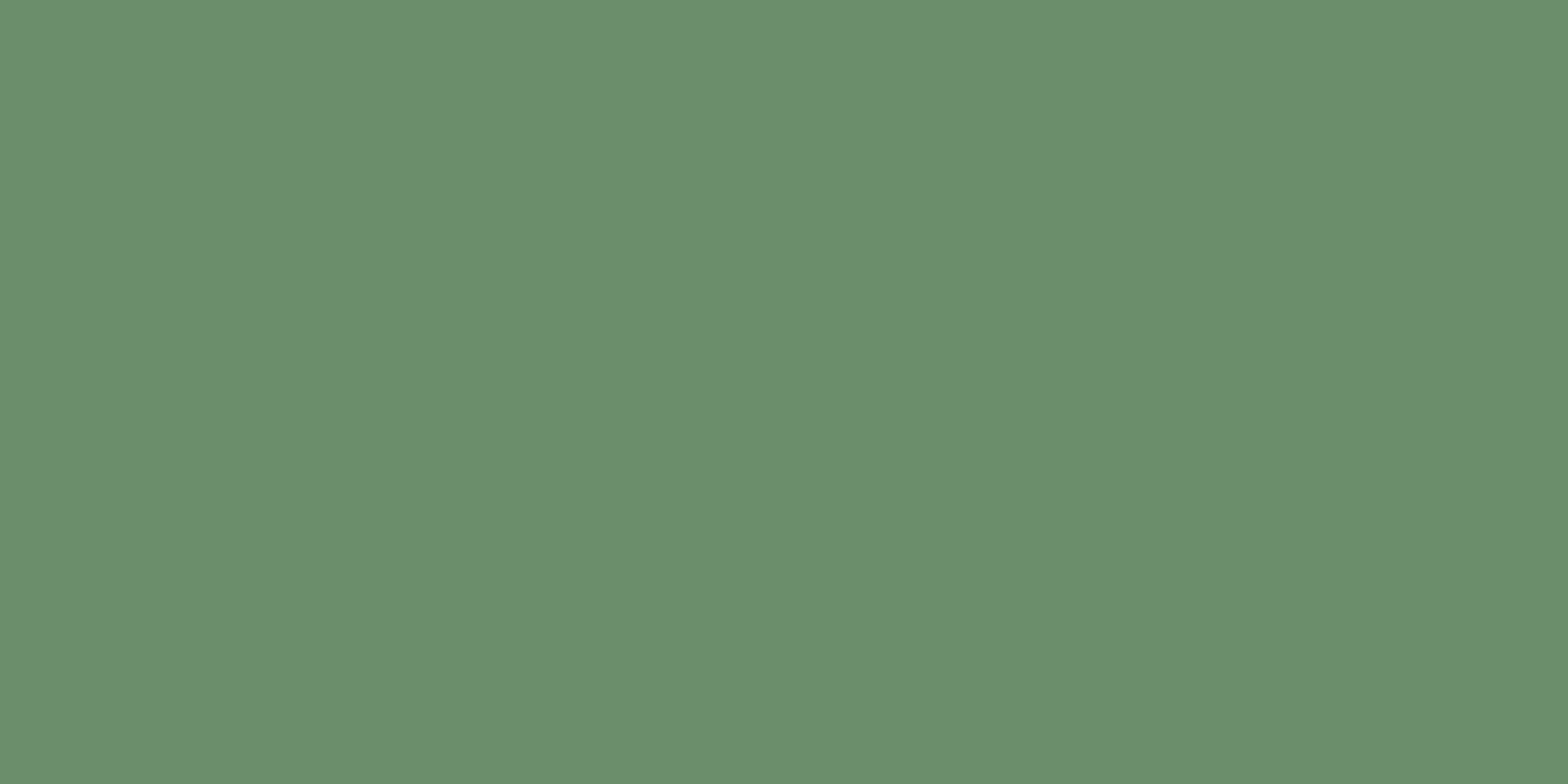 Moody Forest Moss
