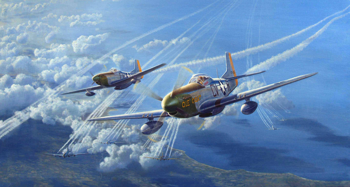 P-51 Mustang WWII V14 Mousepad Deskmat