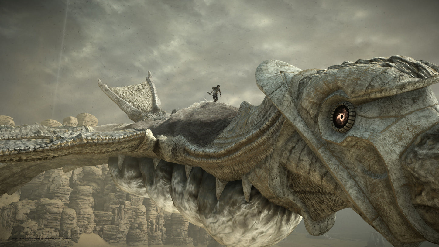 Shadow of the Colossus V16 Mousepad