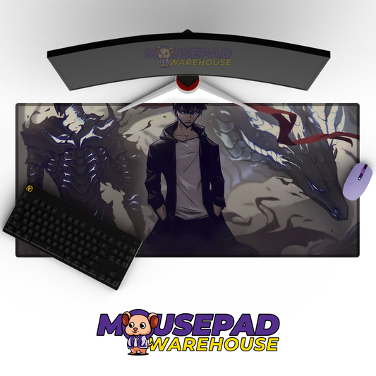 Solo Leveling V50 Mockup