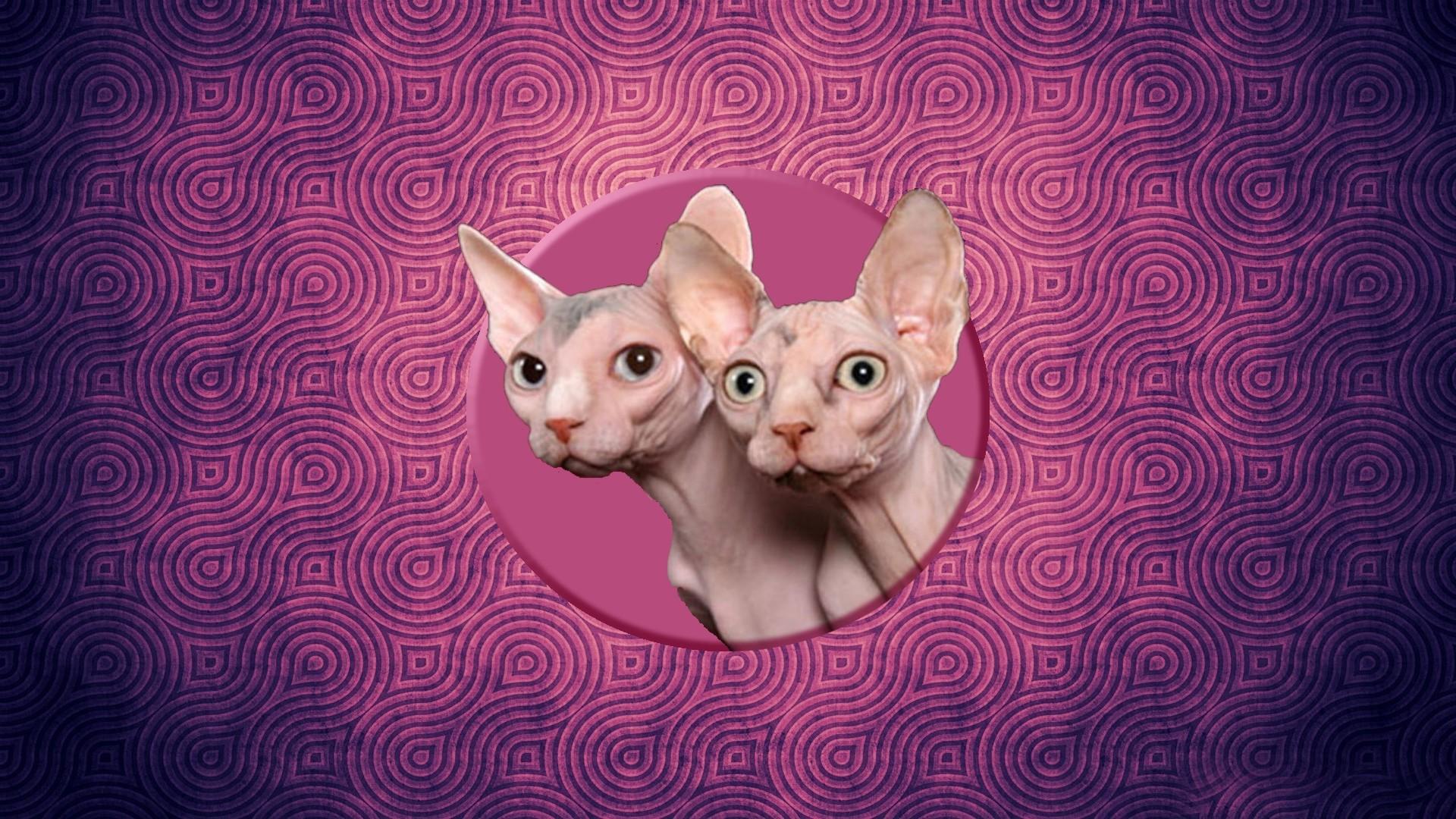 Sphynx V13 Mousepad