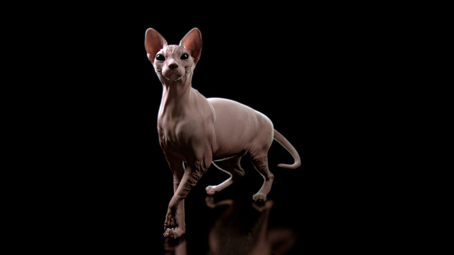 Sphynx V16 Mousepad