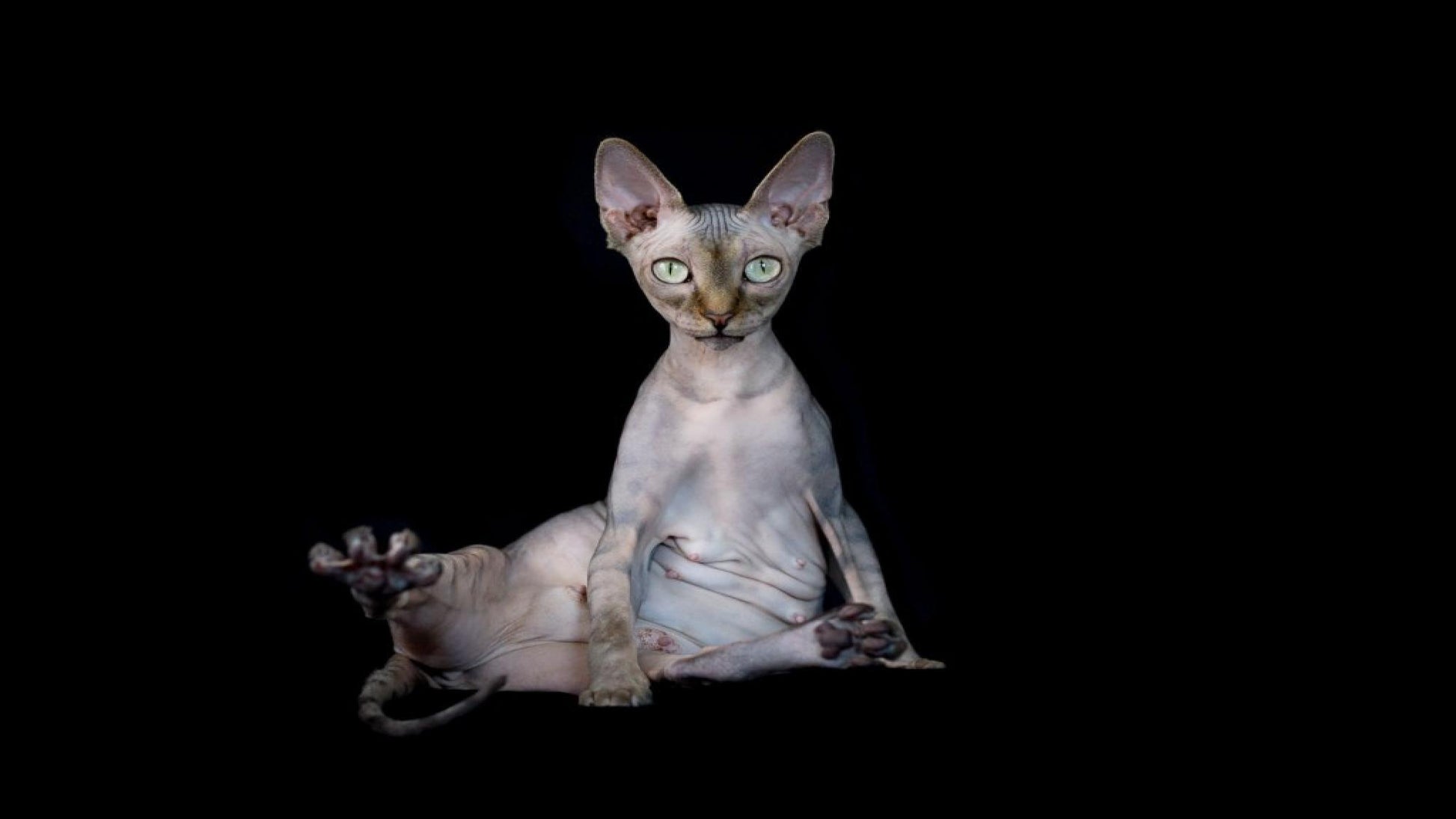 Sphynx V28 Mousepad