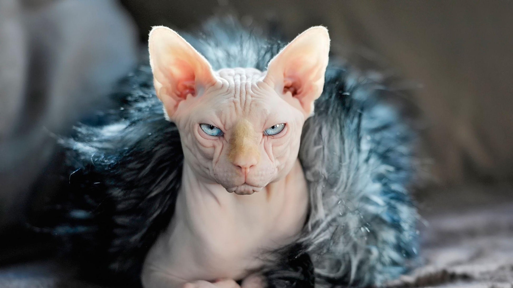Sphynx V2 Mousepad