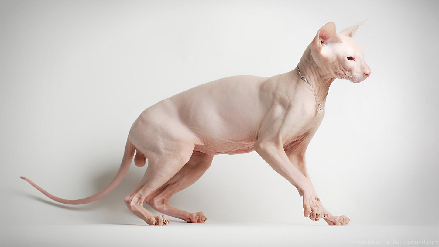 Sphynx V30 Mousepad