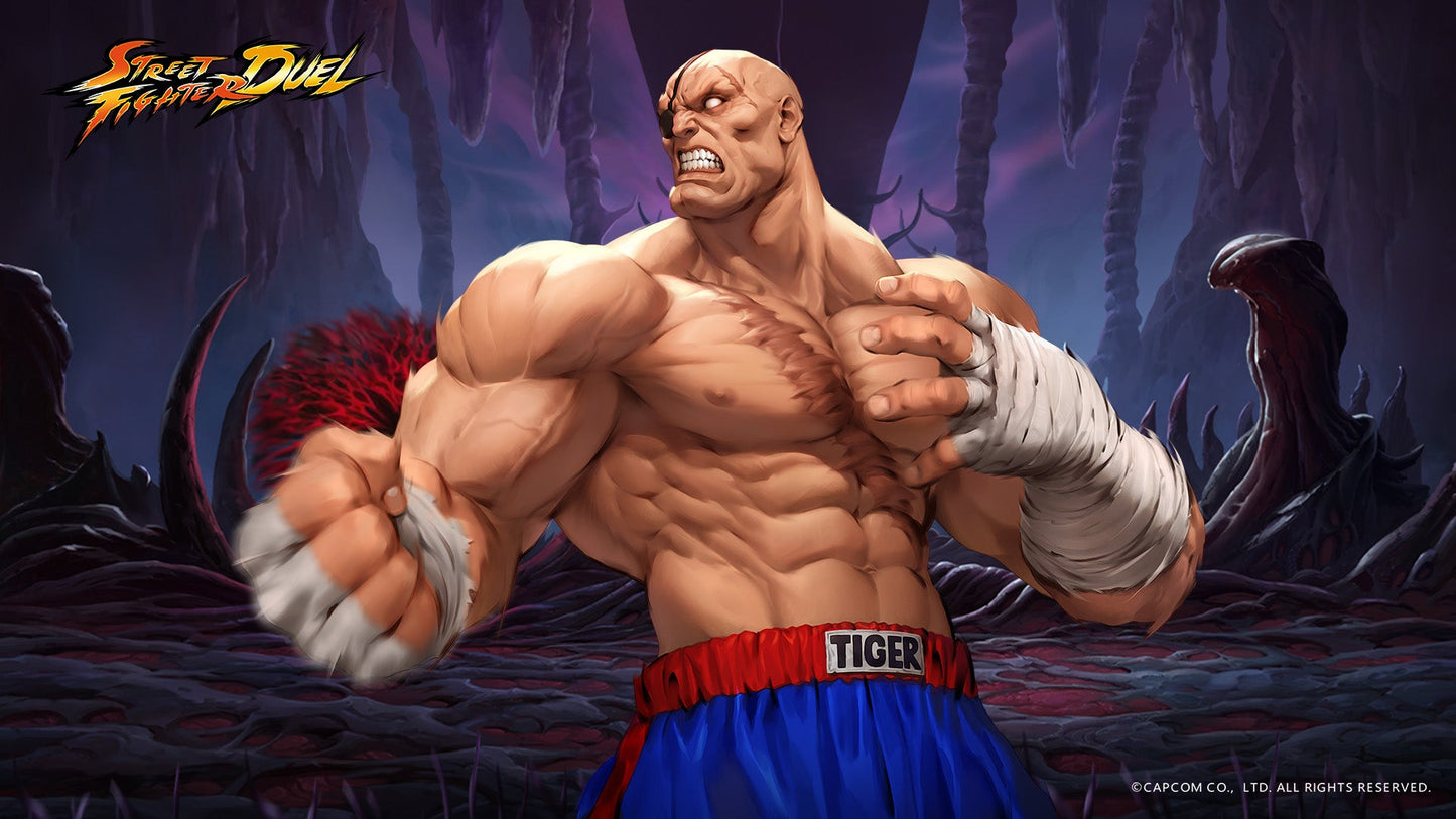Street Fighter V8 Mousepad