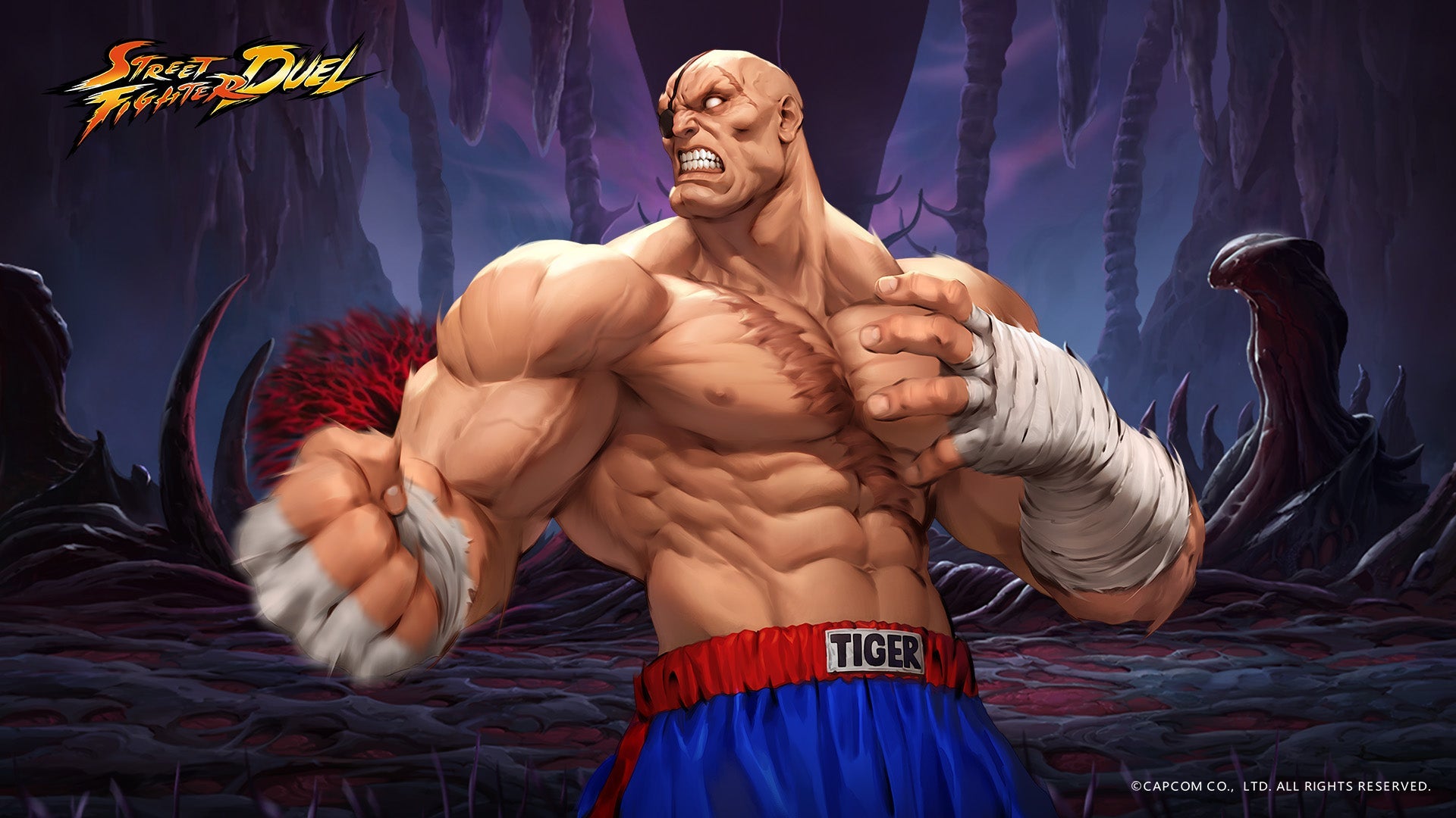 Street Fighter V8 Mousepad
