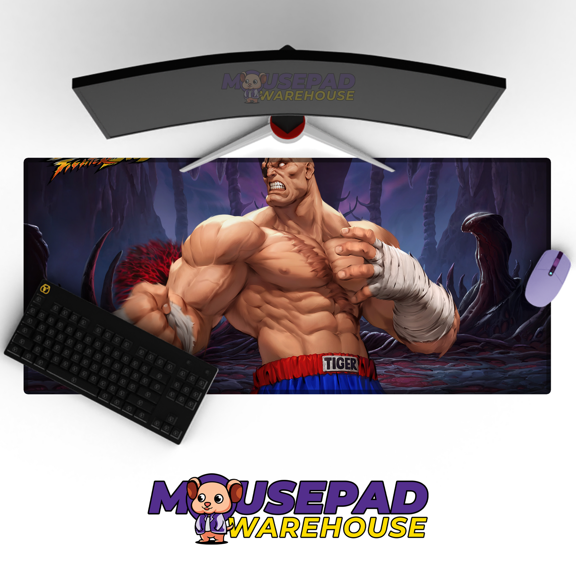 Street Fighter V8 Mousepad Mockup