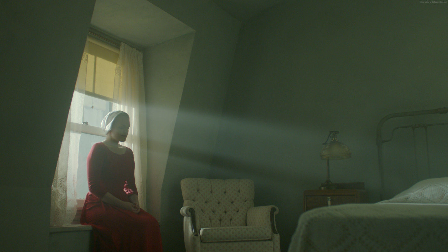 The Handmaids Tale V20 Mousepad