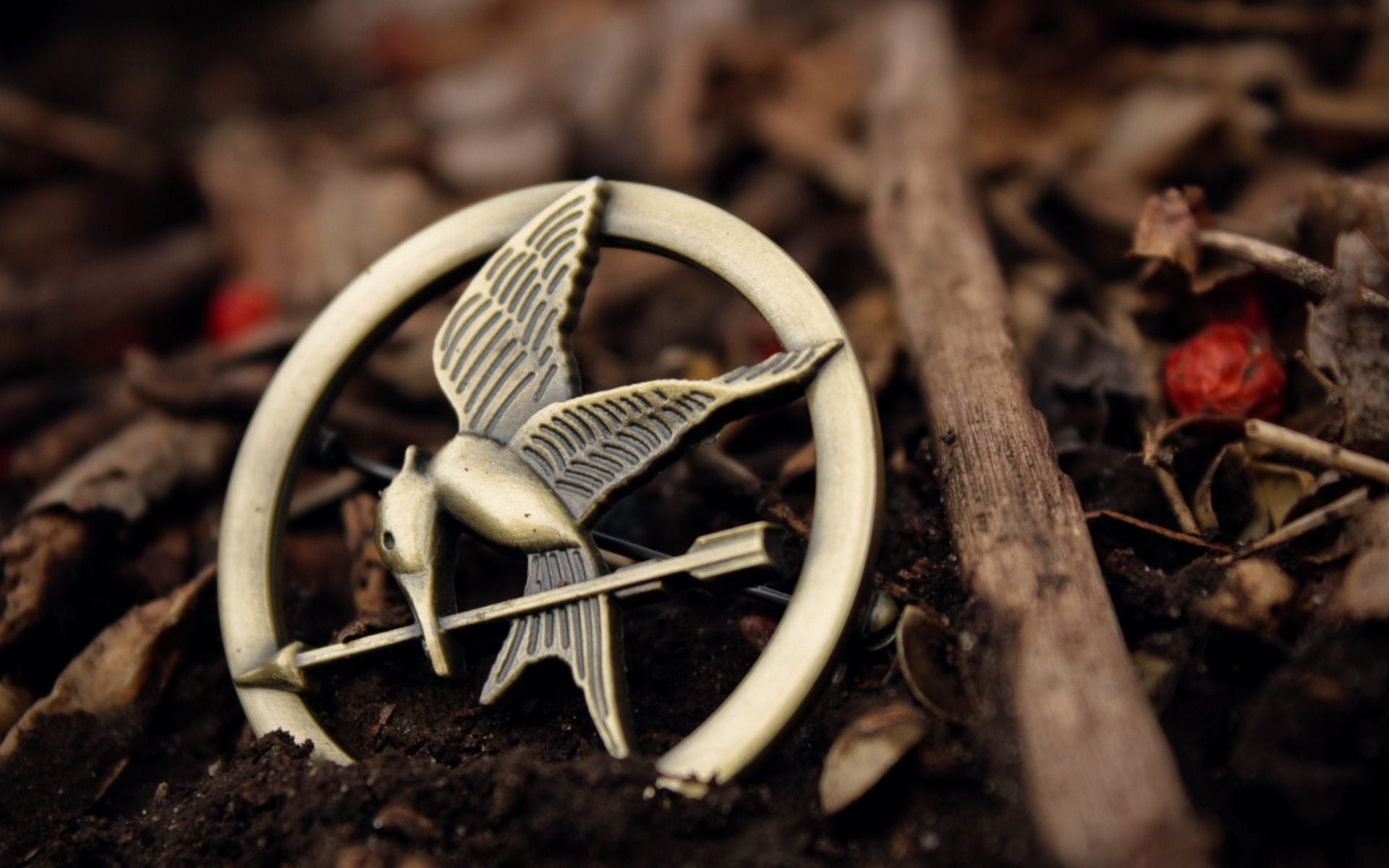 The Hunger Games V24 Mousepad