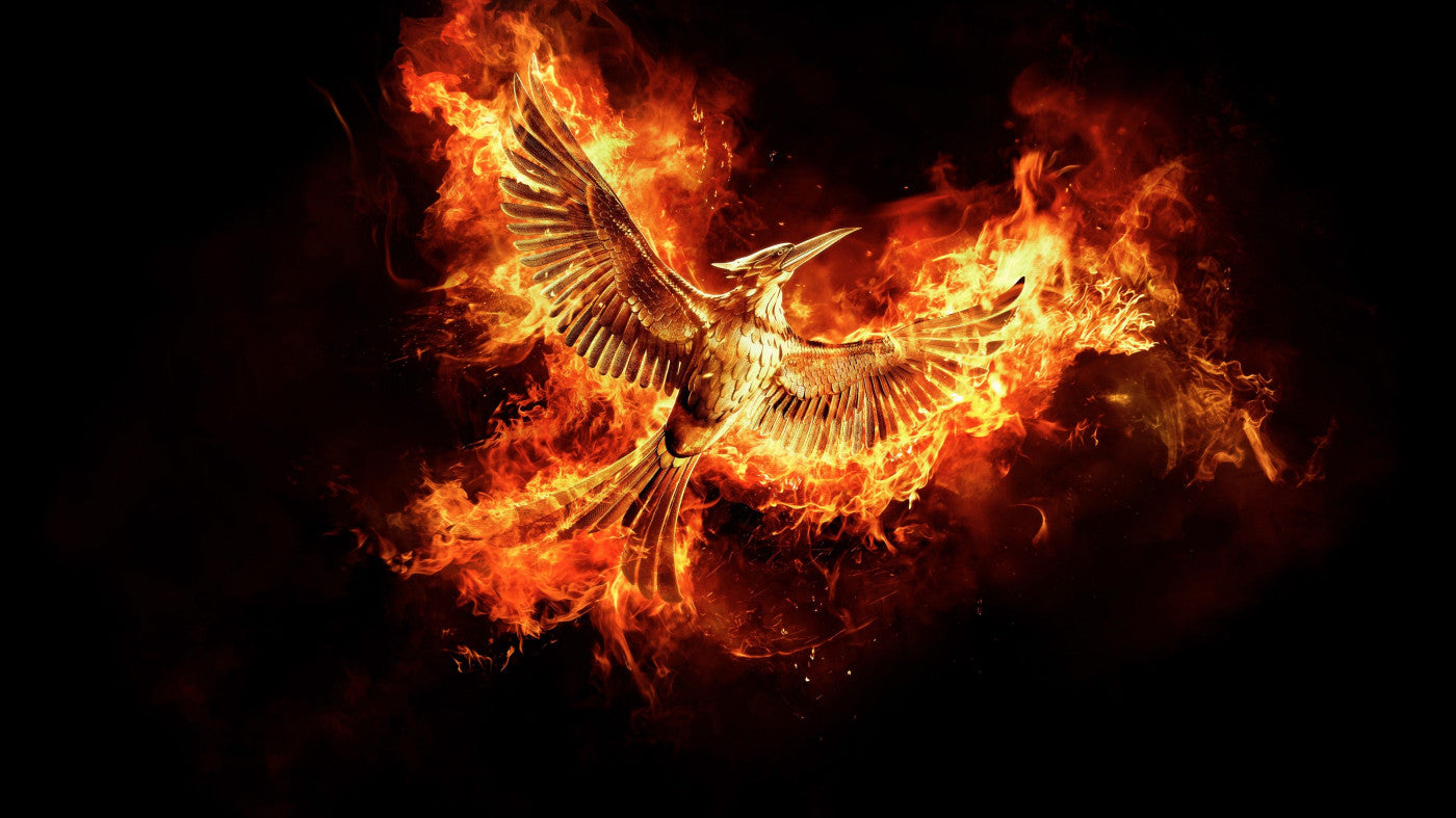 The Hunger Games V26 Mousepad