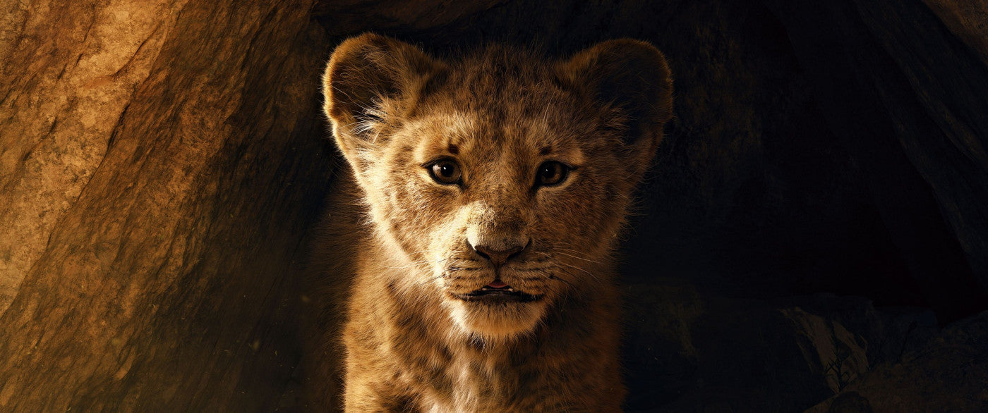 The Lion King V14 Mousepad