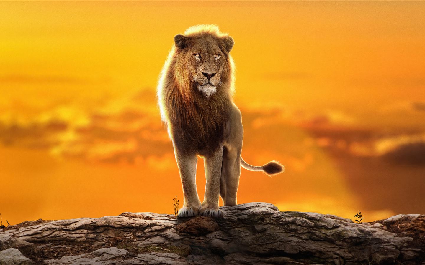 The Lion King V34 Mousepad