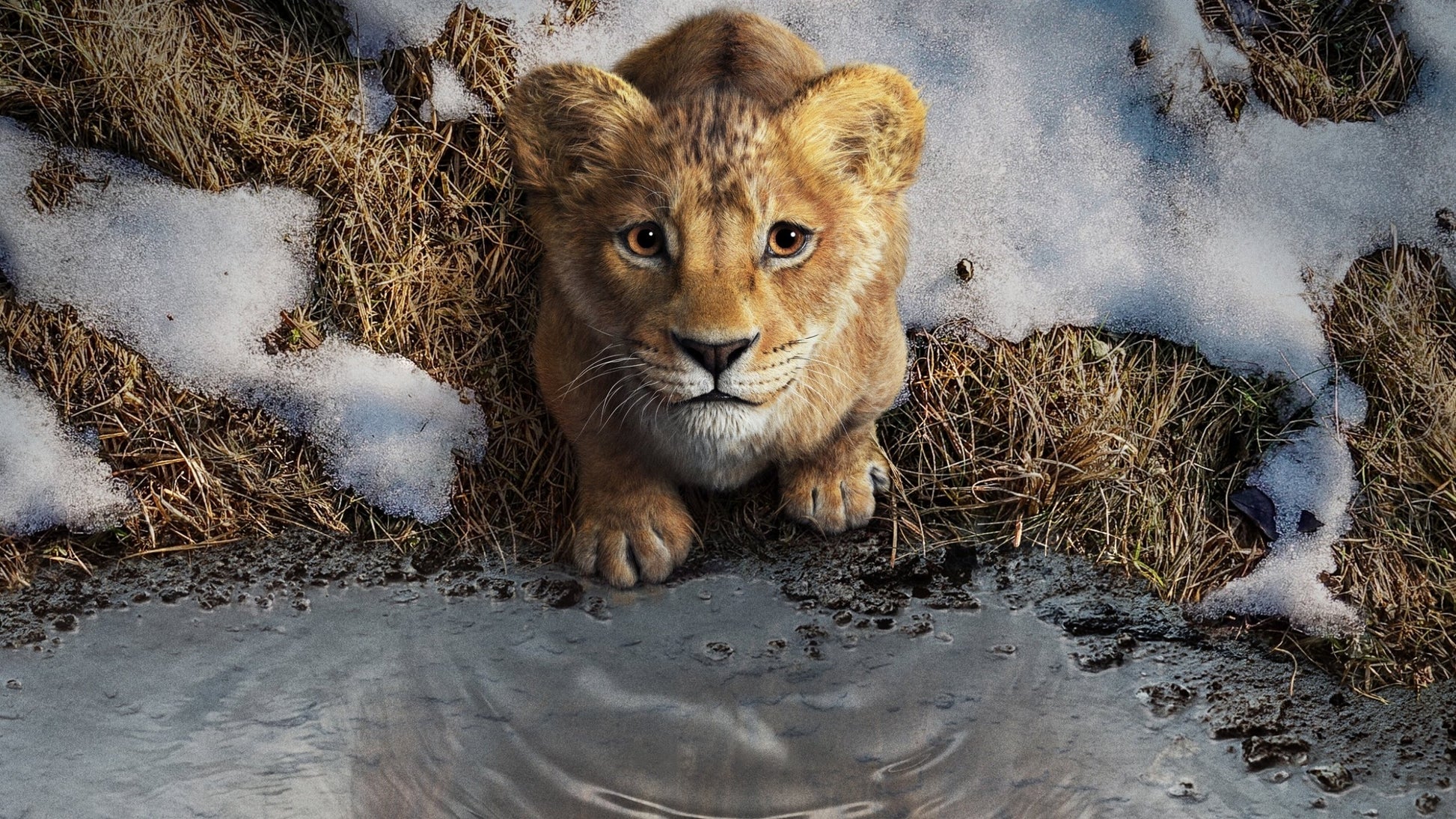 The Lion King V37 Mousepad