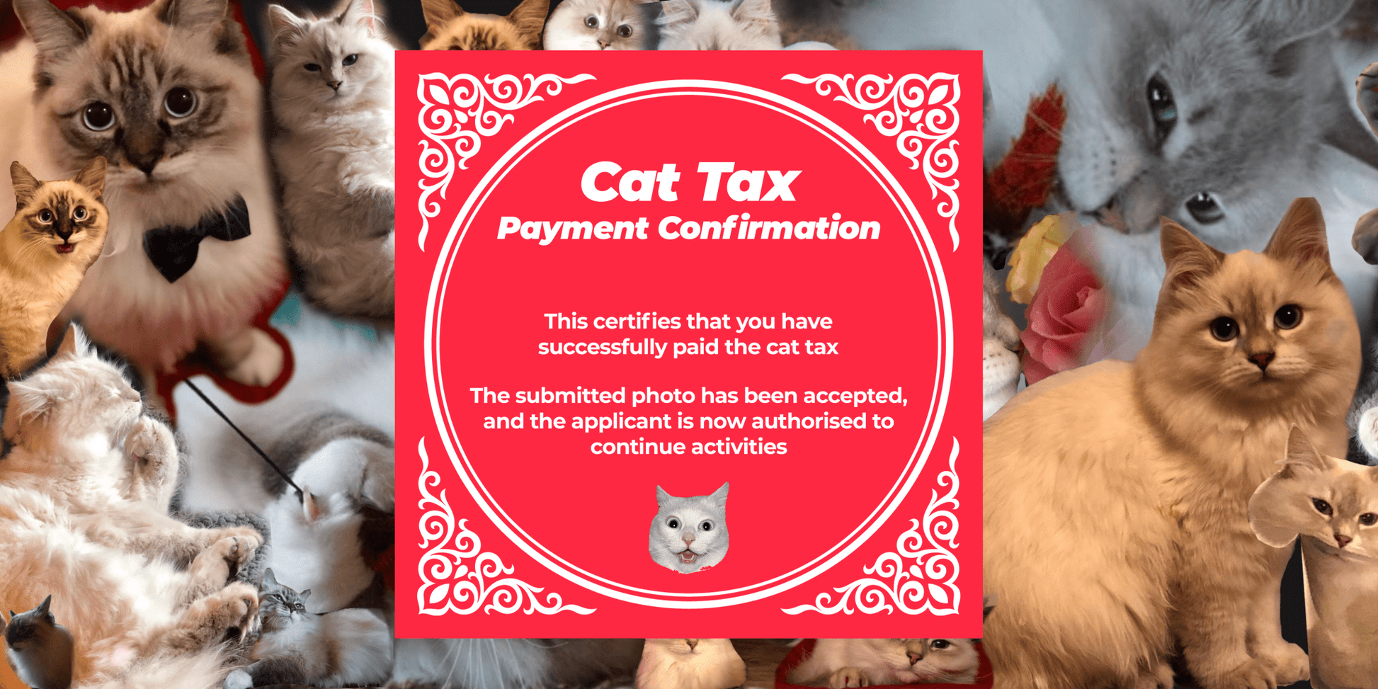 Cat Tax Certificate - Red Note App 小红书 Mousepad - Mousepad Warehouse