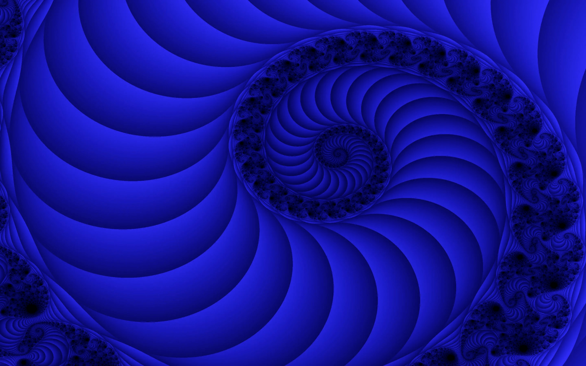 376446_7 376446_7