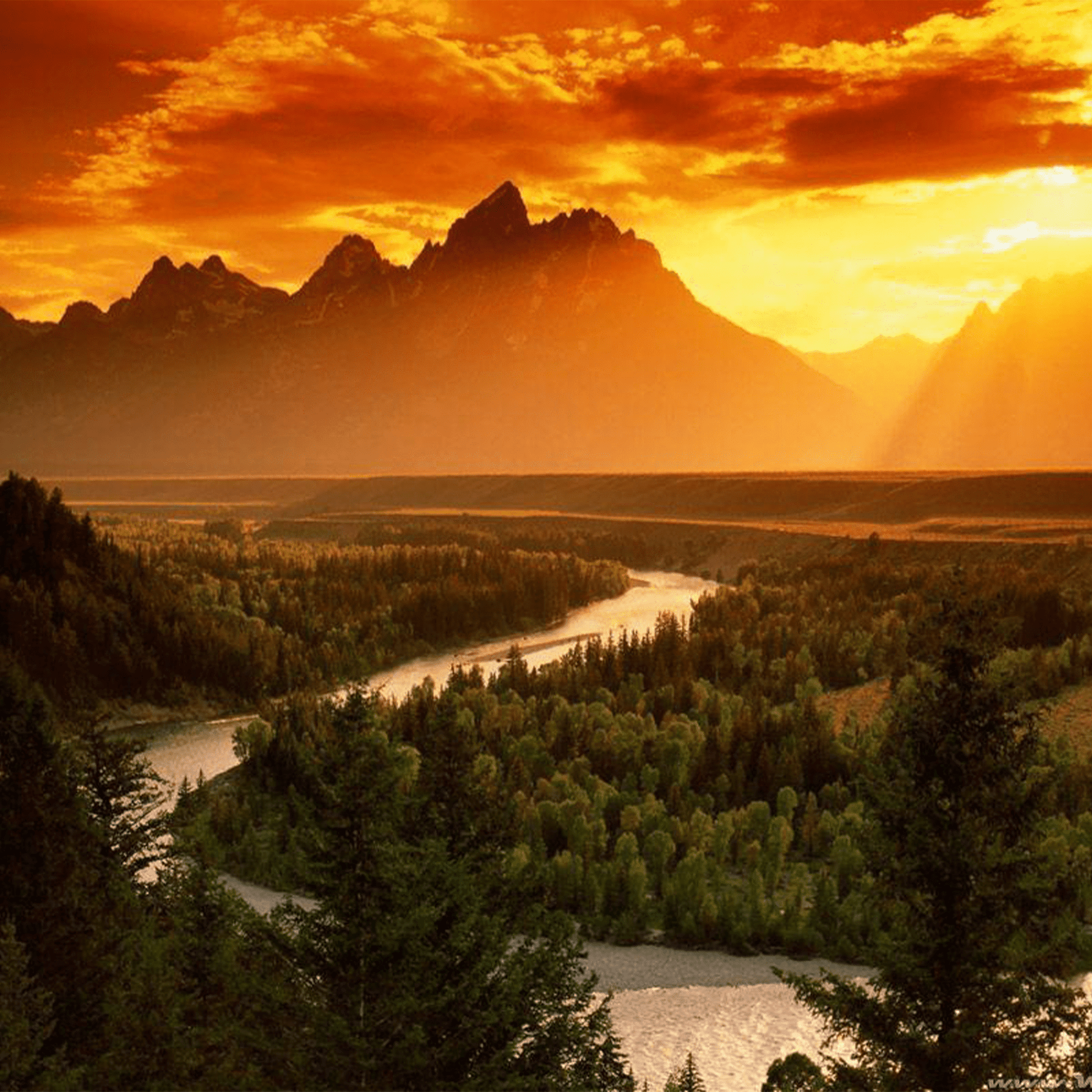 Yellowstone Mousepad 788554 - Mousepad Warehouse