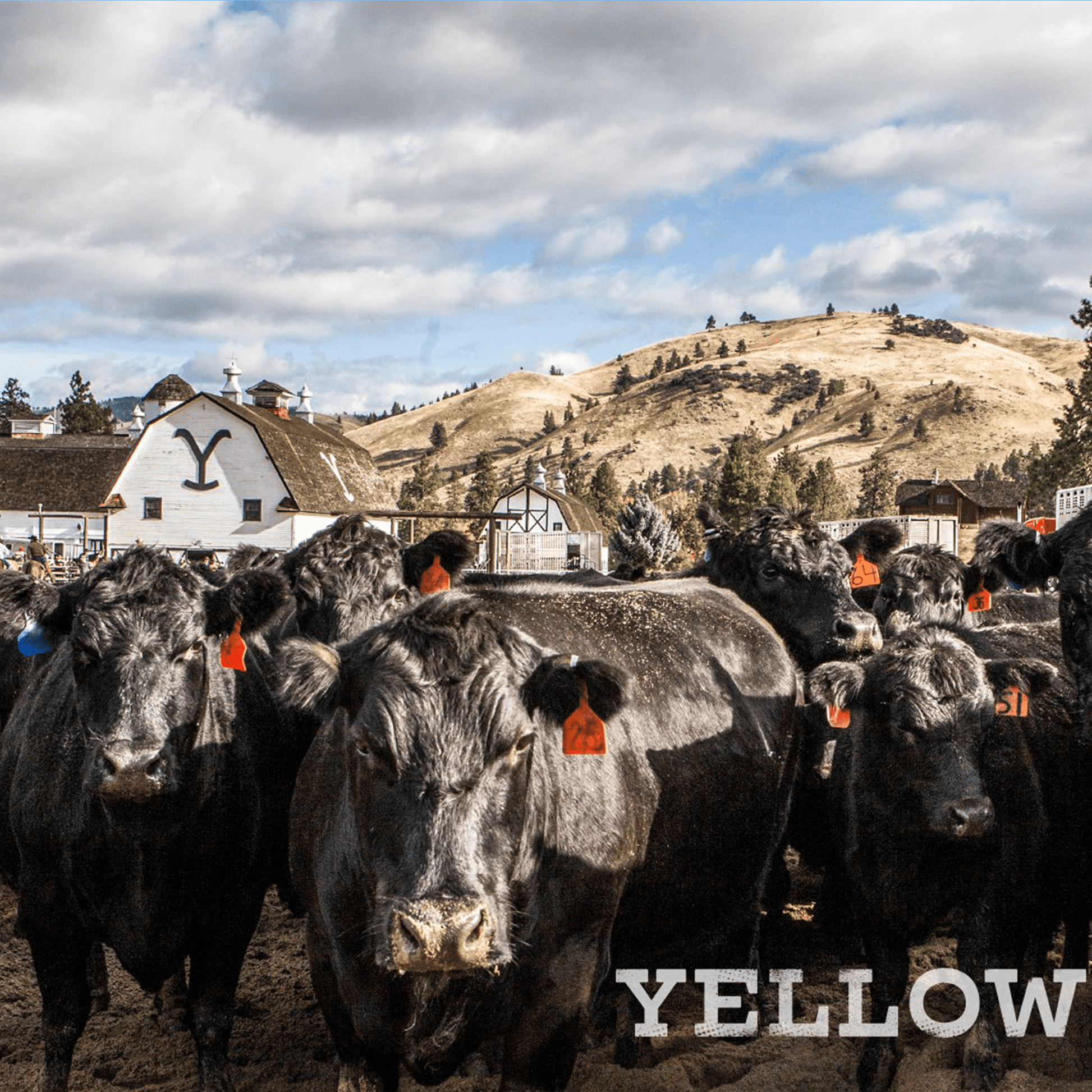 Yellowstone Mousepad 788559 - Mousepad Warehouse